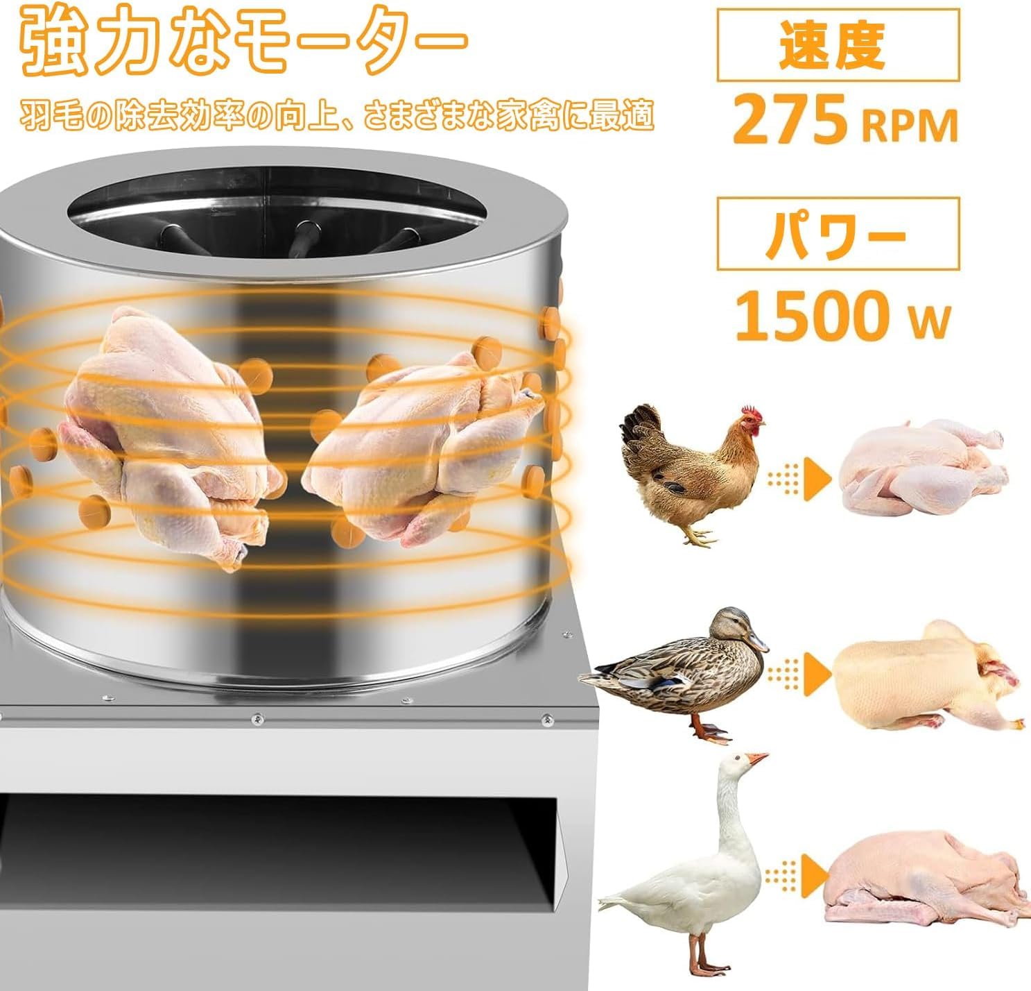 Amazon.co.jp: 家禽脱毛機 除毛機 雞鴨脫毛機 小型プラッカー家禽脱毛